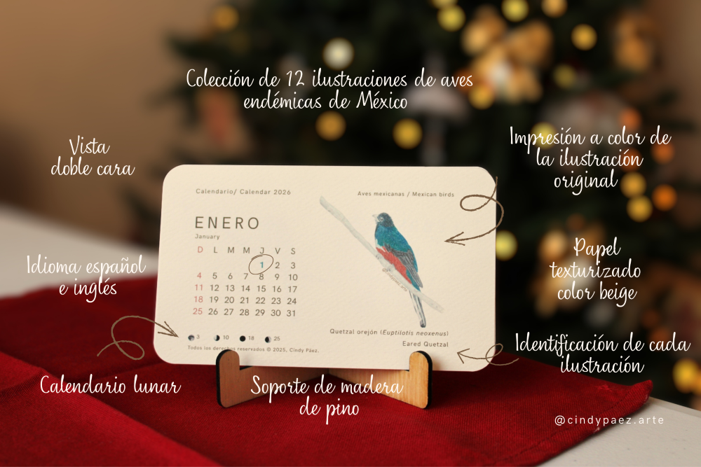 Calendar | Calendario 2026 - Imagen 2