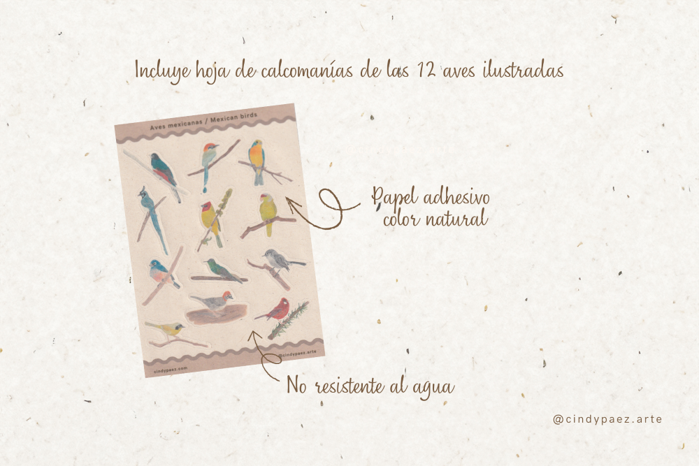 Calendar | Calendario 2026 - Imagen 3